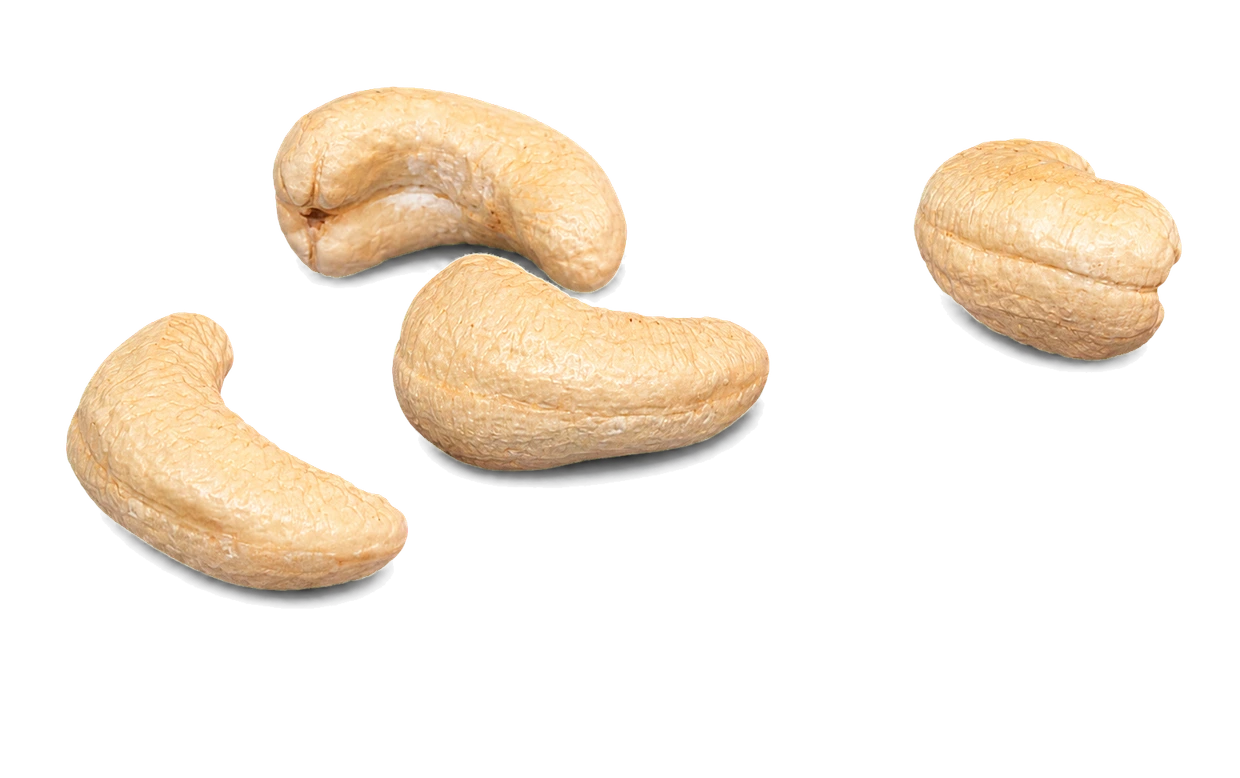 אגוזי קשיו